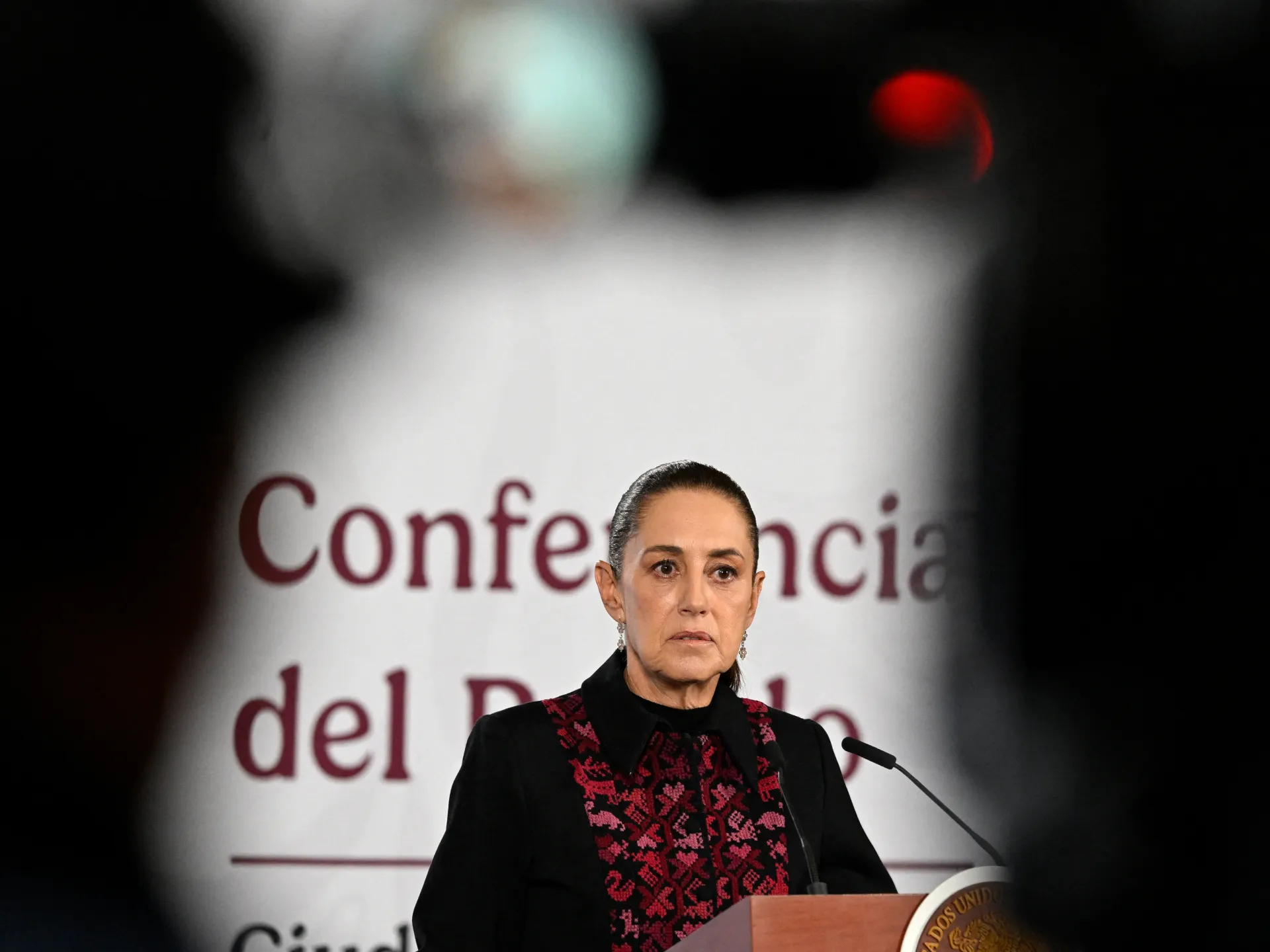 Mexico begins legal action in US over deaths of its citizens in ICE custody