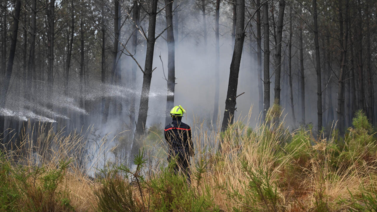 Monster fires spark debate over France's forest management