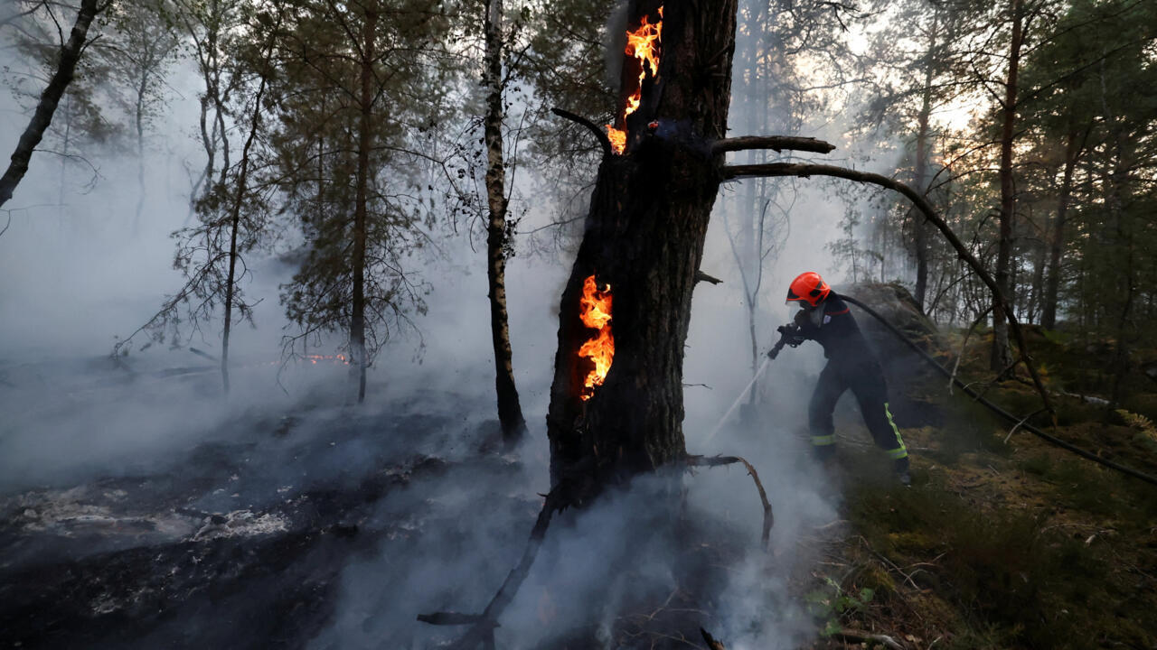 🔴 More than 1,900 hectares of Fontainebleau forest near Paris destroyed by wildfires
