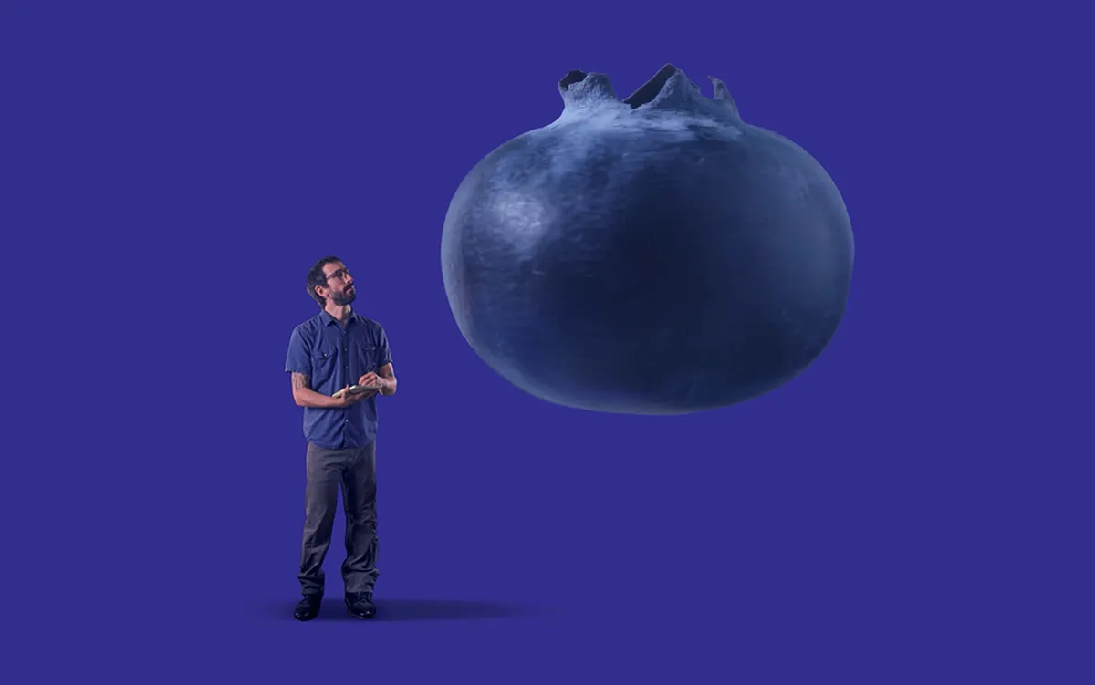My Maddening Quest to Find Out if Blueberries Come From Farms Where Workers Were Harmed