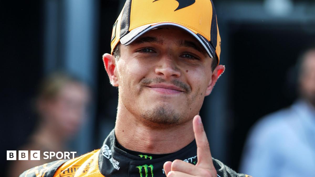 Norris beats Hamilton to Hungary pole