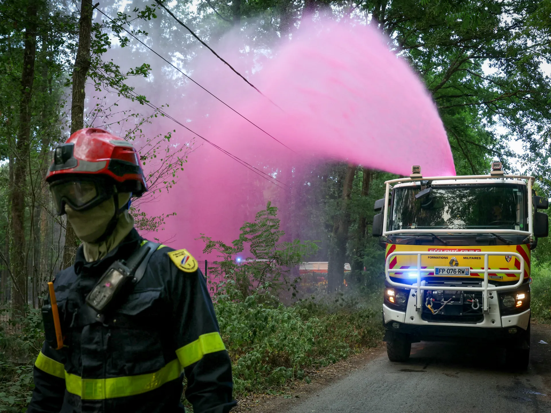 Photos: Wildfires ravage historic forest near Paris