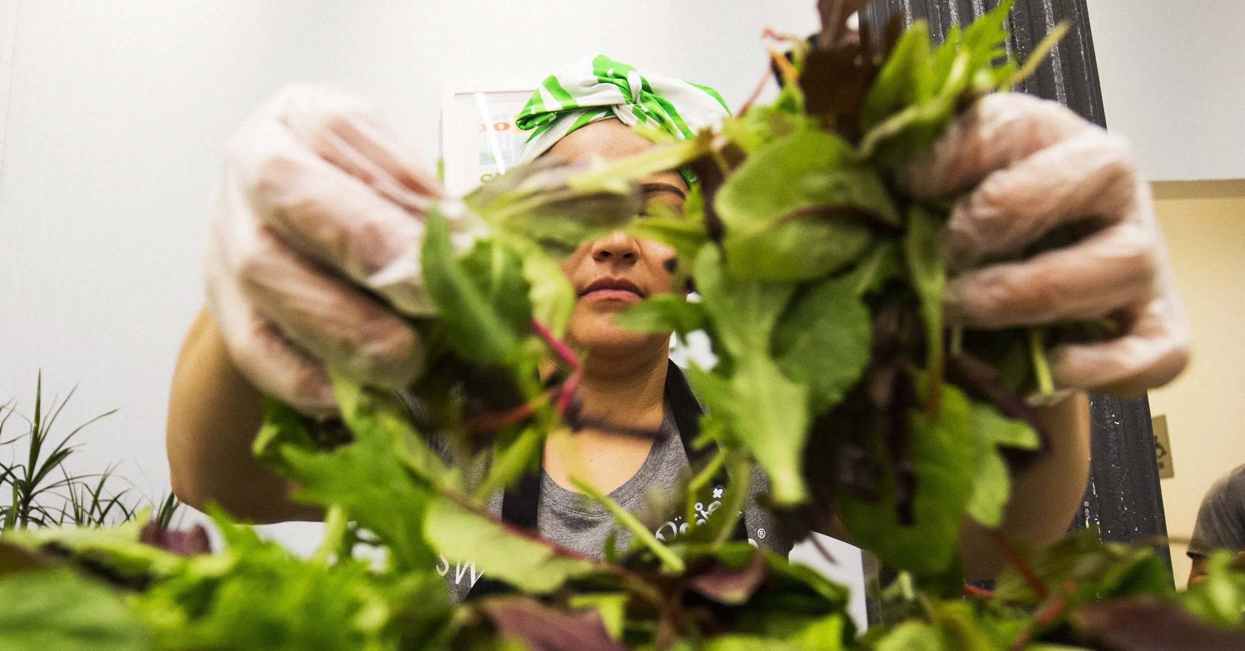 Salad Chains Are Seeing Foot Traffic Drop Over Cyclosporiasis Fears