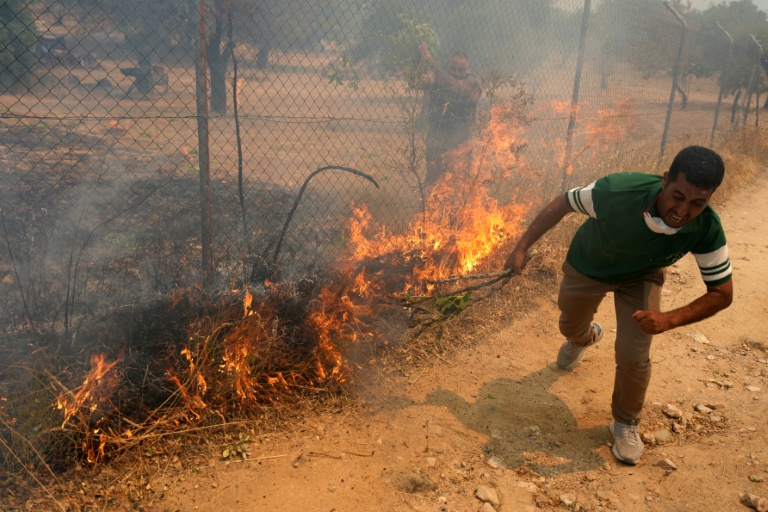 Spain football coach De la Fuente visits Madrid wildfire evacuees