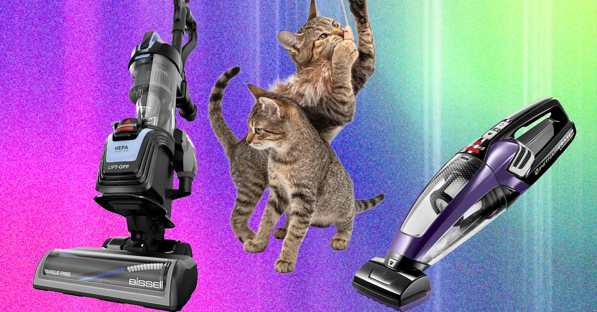 The Best Vacuum for Pet Hair—We Tested Many to Find Which Ones Work Best (2026)