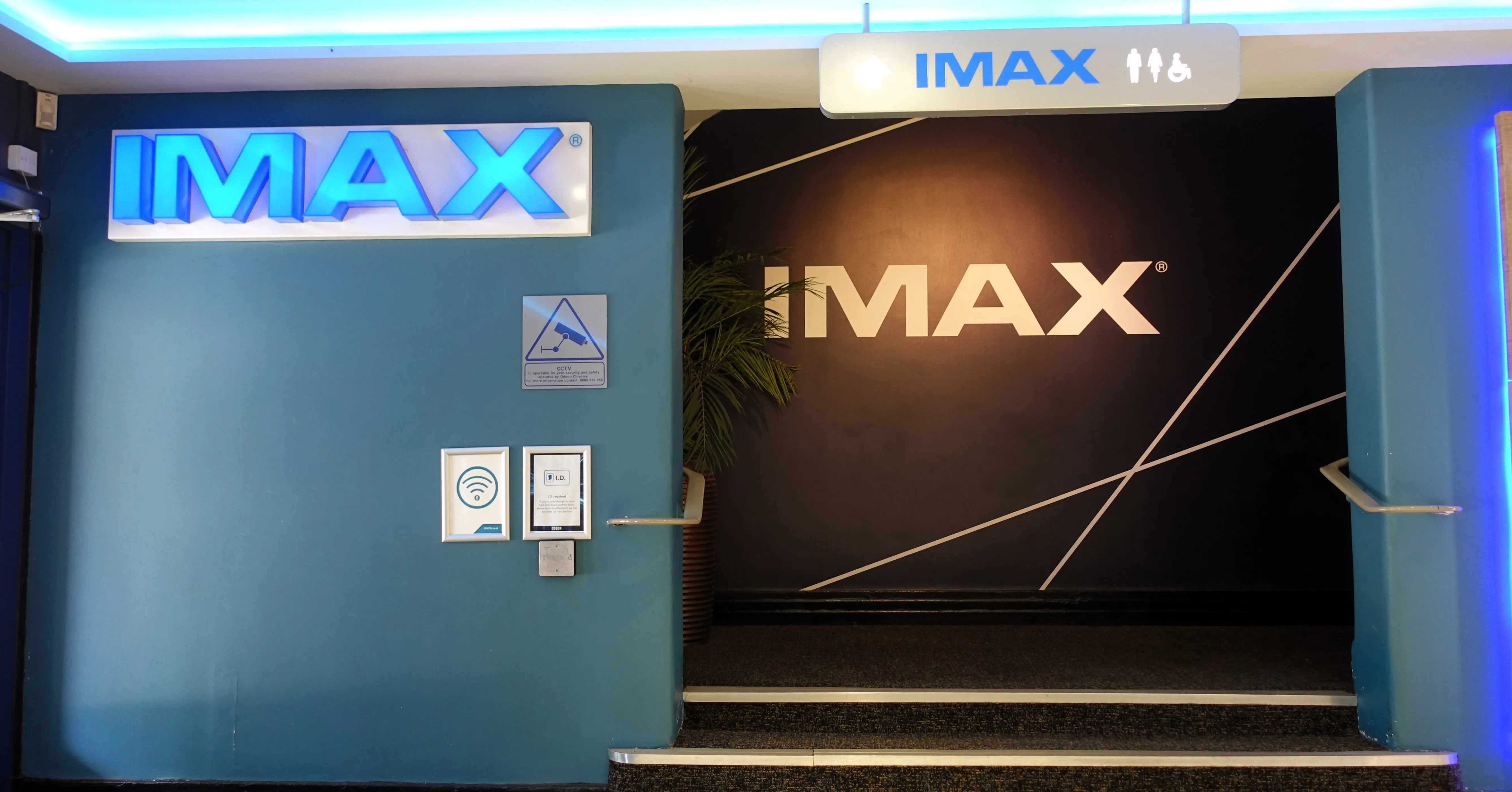 ‘The Odyssey’ Was Made for Imax 70mm. Good Luck Watching It That Way