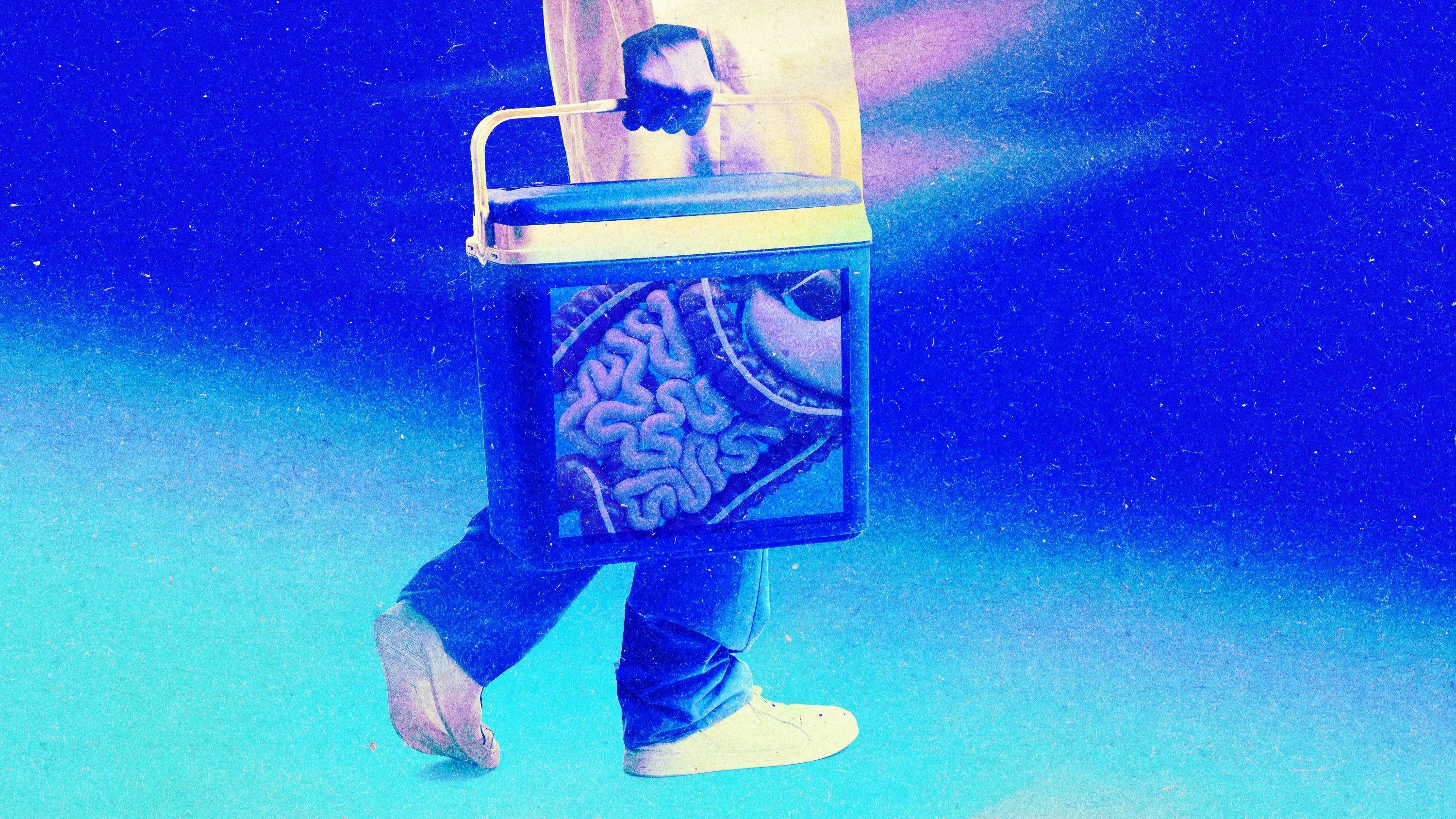 The quest to keep organs alive outside the body