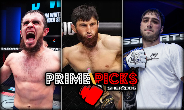 UFC Abu Dhabi Prime Picks: These men all have one thing in common