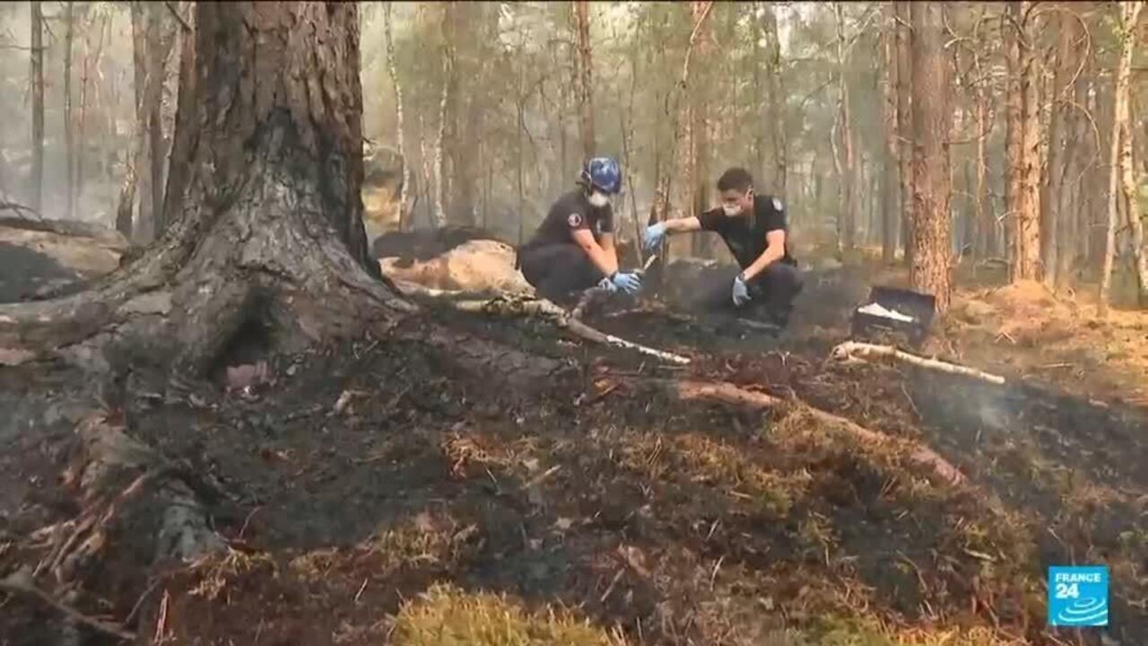 Volunteer firefighter admits to starting a fire in the Fontainebleau forest