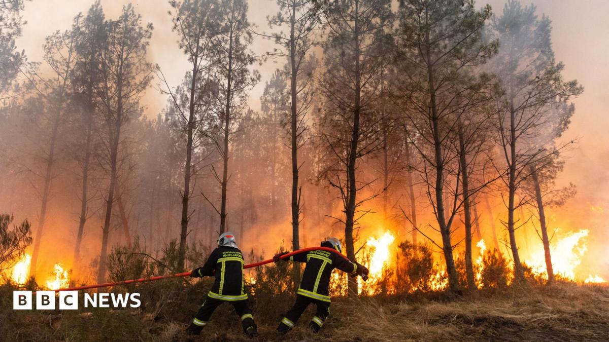 Wildfire witnesses describe 'wall of flames', fear and stress