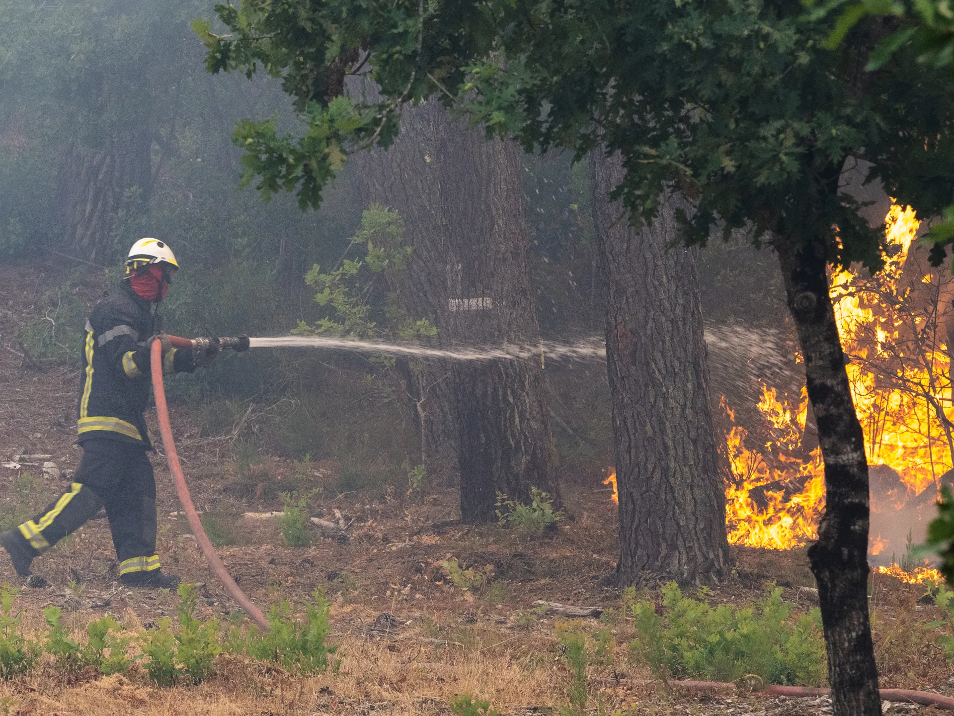 Wildfires in Spain and France force evacuation of 200,000 people