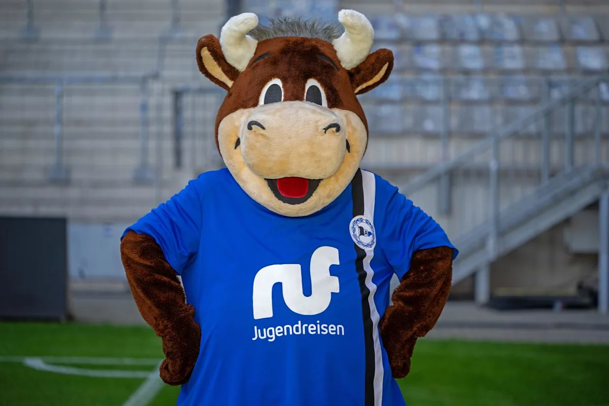 2. Bundesliga Preview; Arminia Bielefeld vs. Energie Cottbus
