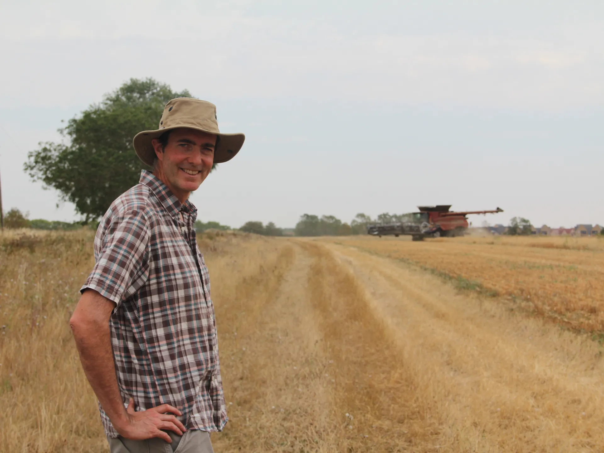 As temperatures soar, ‘exceptionally serious’ drought imperils UK farmers