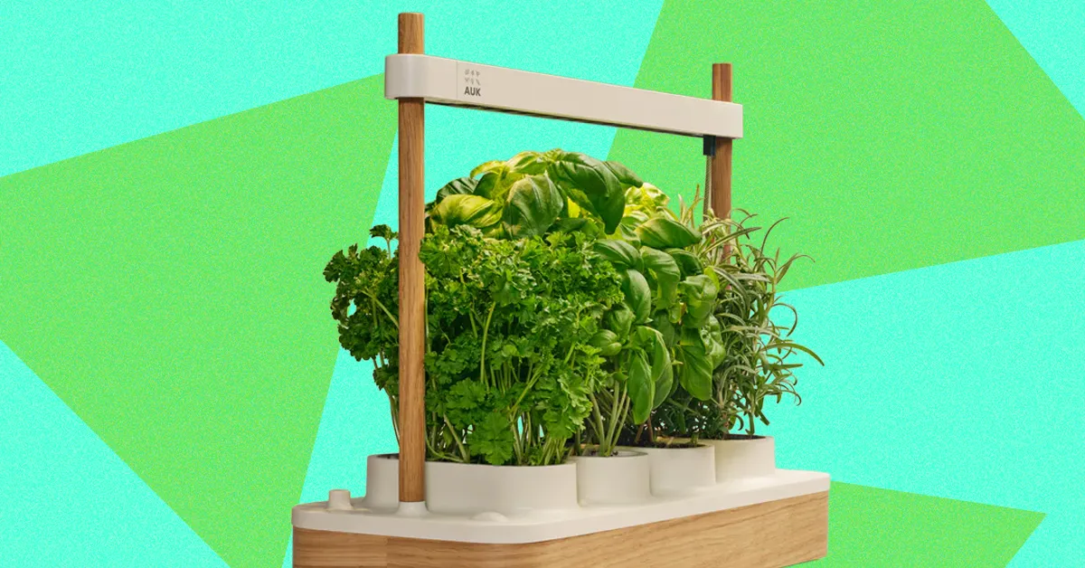 Auk Mini 2 Indoor Smart Garden Review: Better Where It Counts