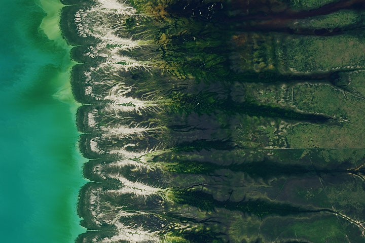 Bountiful Roebuck Bay