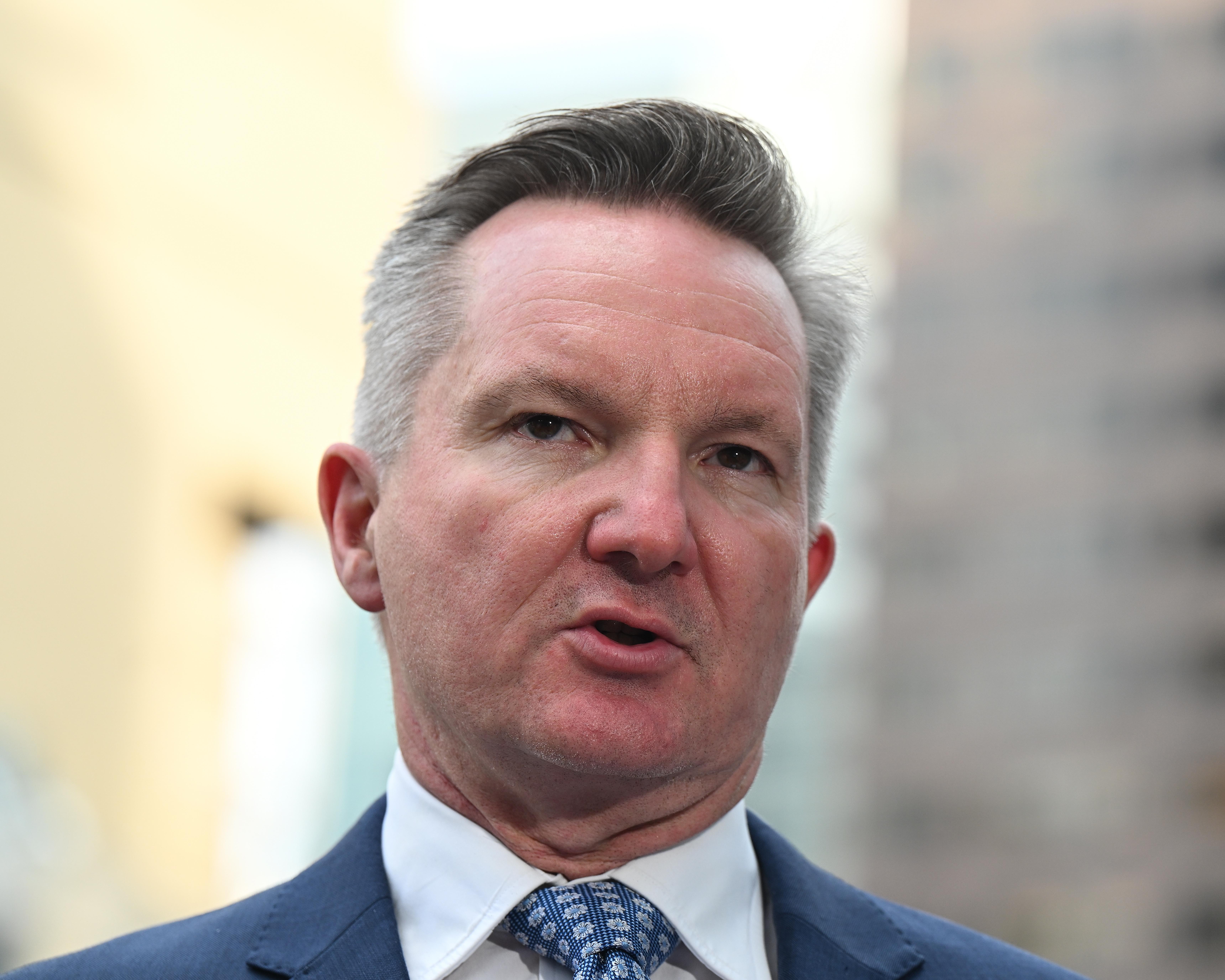 Chris Bowen says he has made it ‘crystal clear’ to BHP and other big polluters they must cut emissions onsite