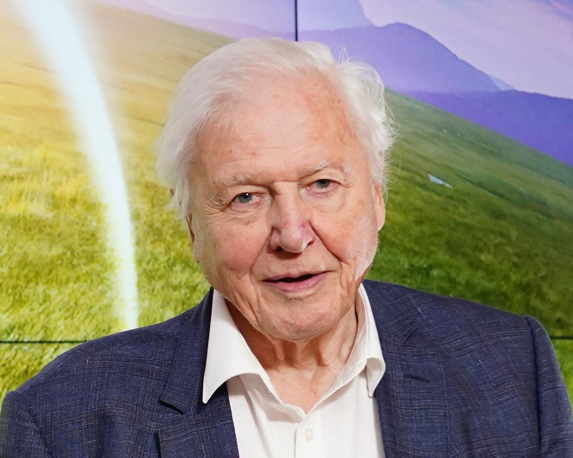 ‘The greatest ambassador for life on Earth’: Tributes paid to David Attenborough on his 100th birthday