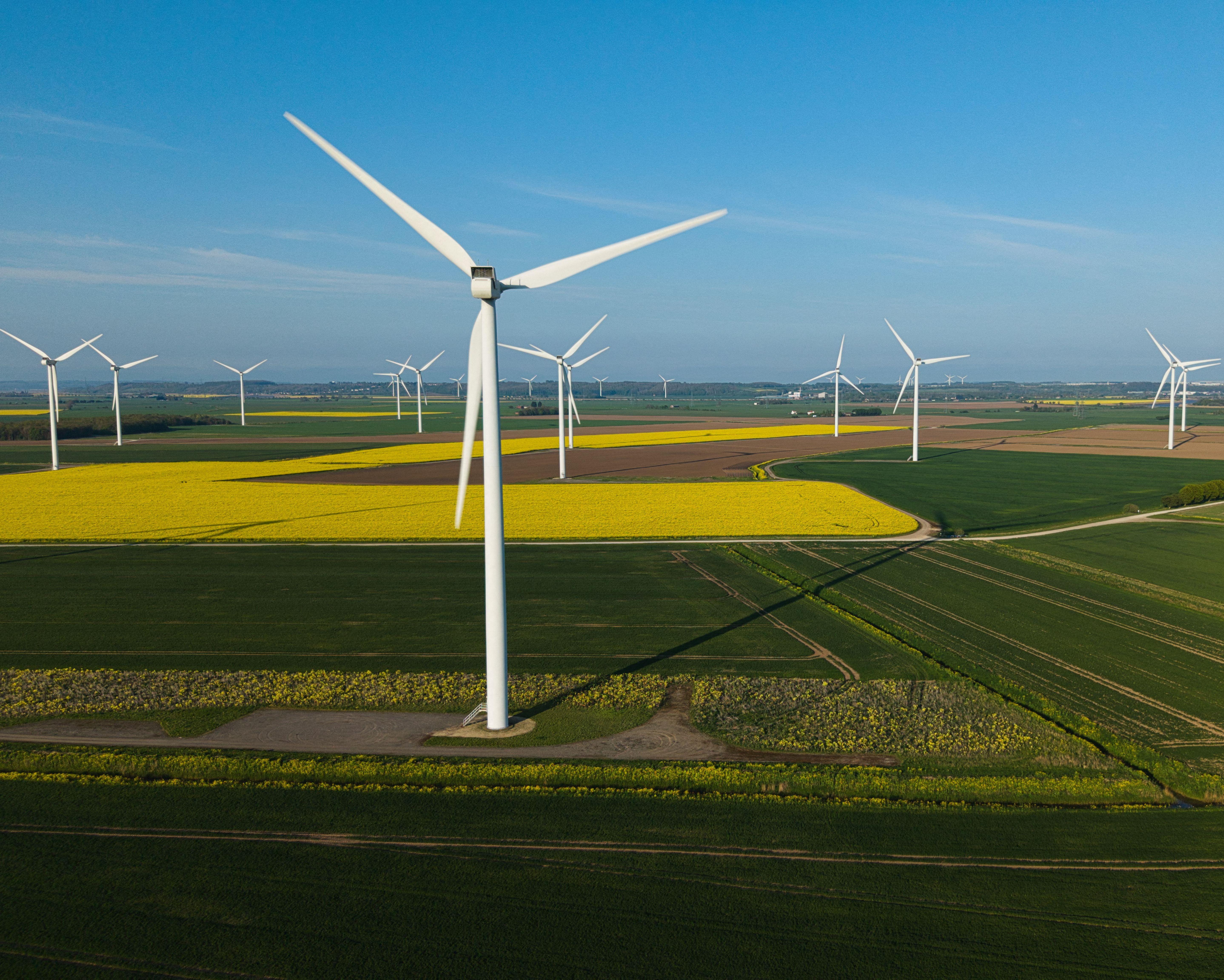 Weakening UK net zero policy would damage economy, chief climate adviser says