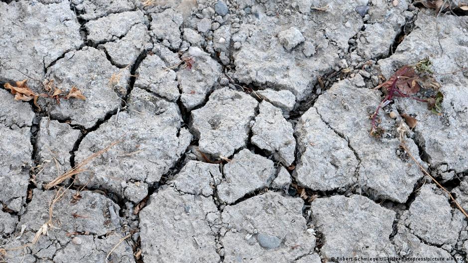 Drought in Germany and Europe are driving up costs