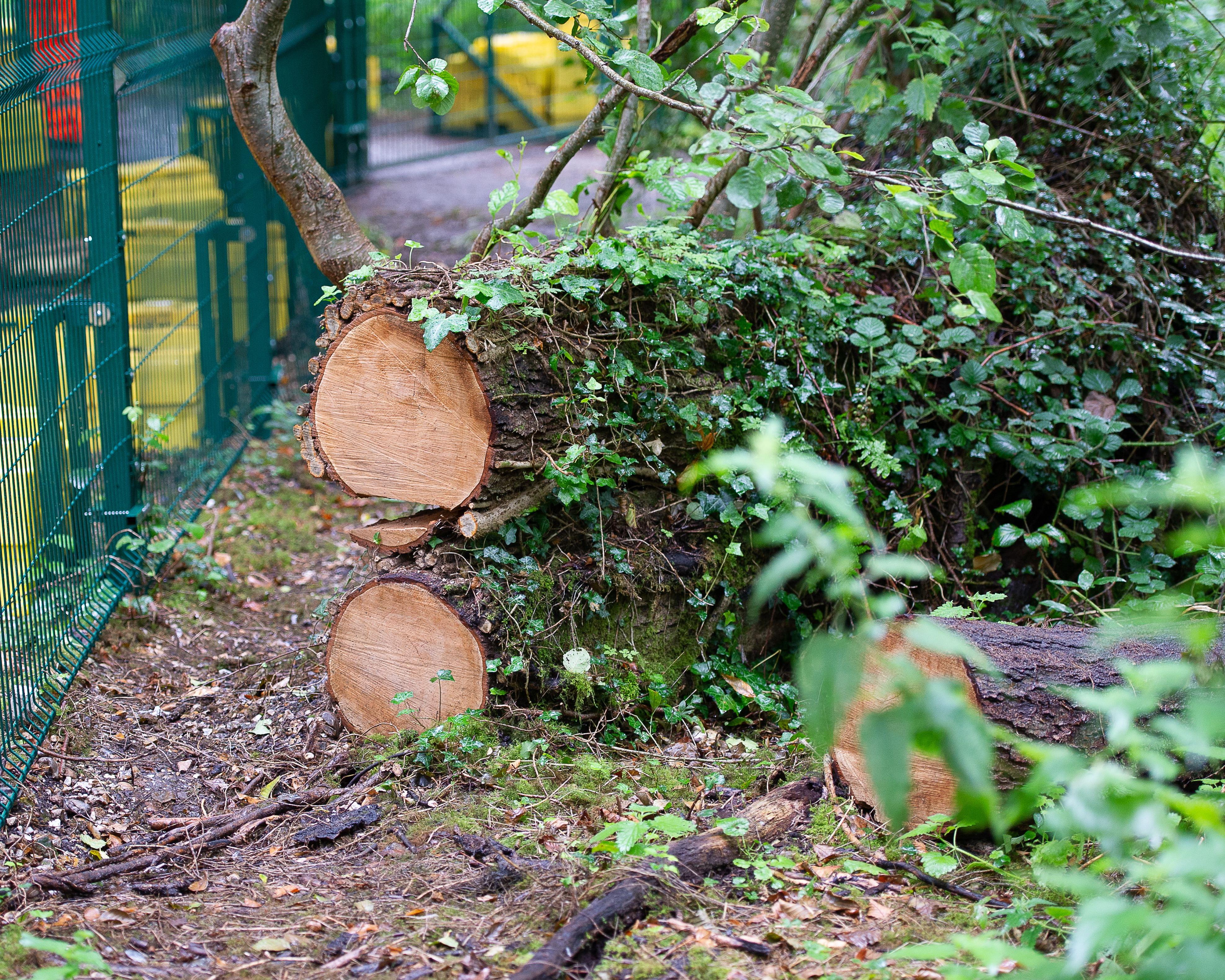 Burnham urged to drop ‘flawed’ plans that may let developers bypass environment laws for £1