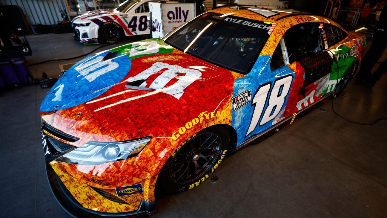 Gibbs to honor Kyle Busch by driving M&M's car