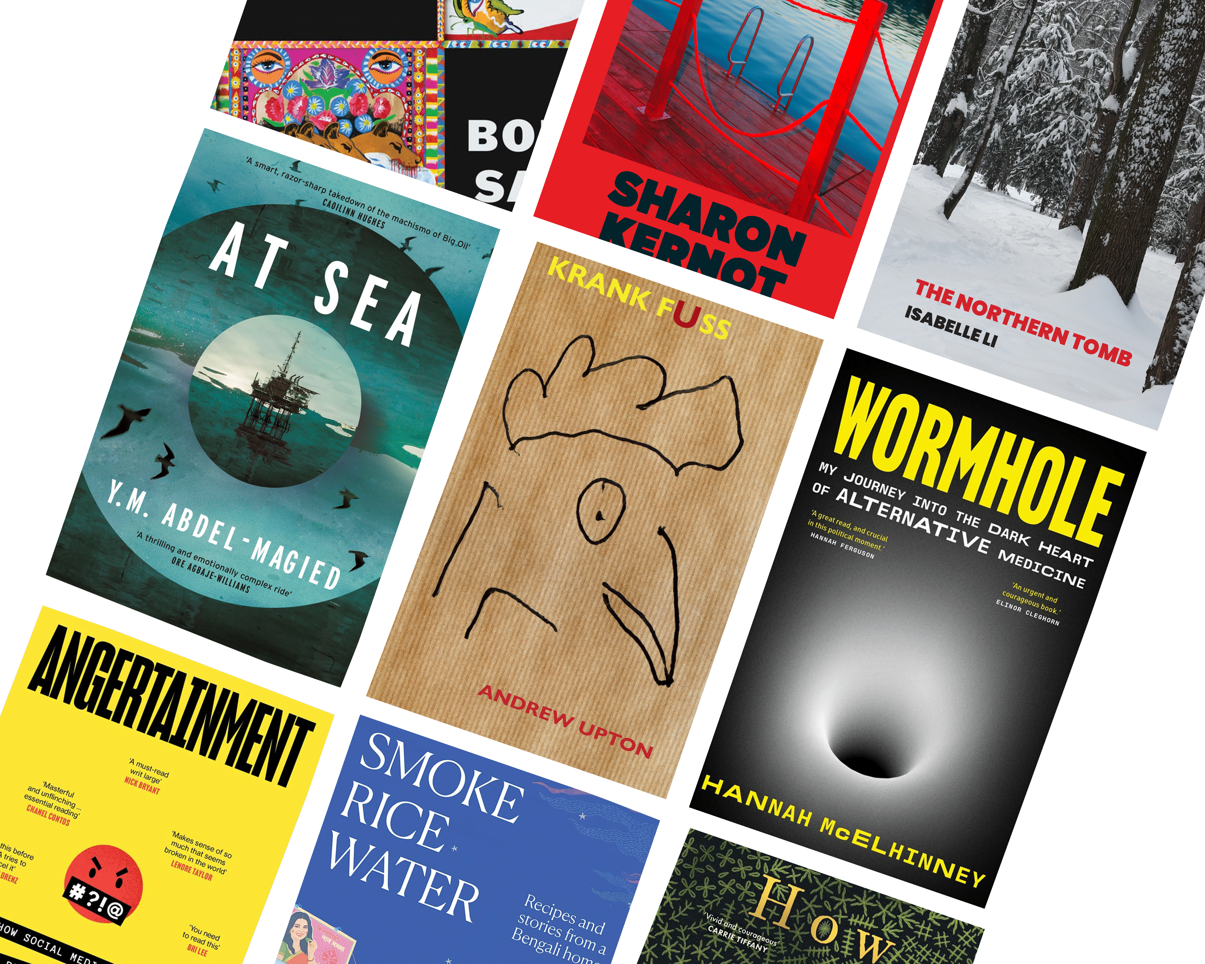 Best Australian books out in June: a buzzy novel, gripping nonfiction and an extremely unusual debut