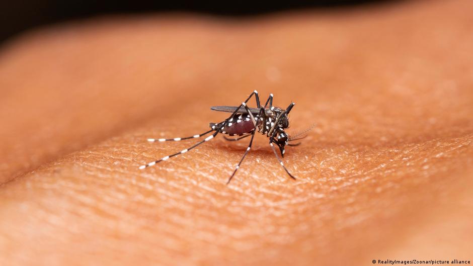 How climate change is reshaping Africa's malaria risk