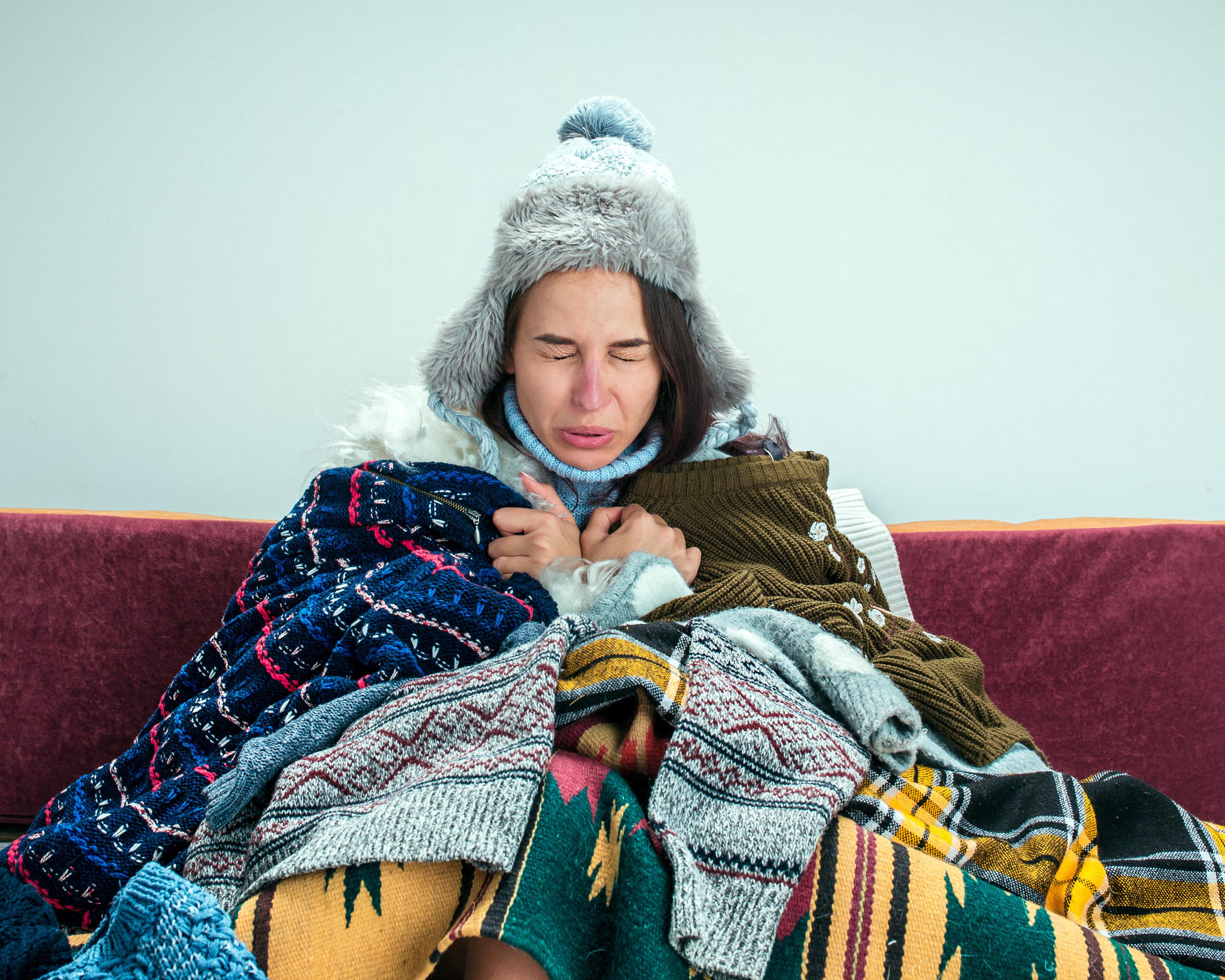 Could I endure a frigid Canberra winter? Not in my wildest, electric dreams | Brigid Delaney