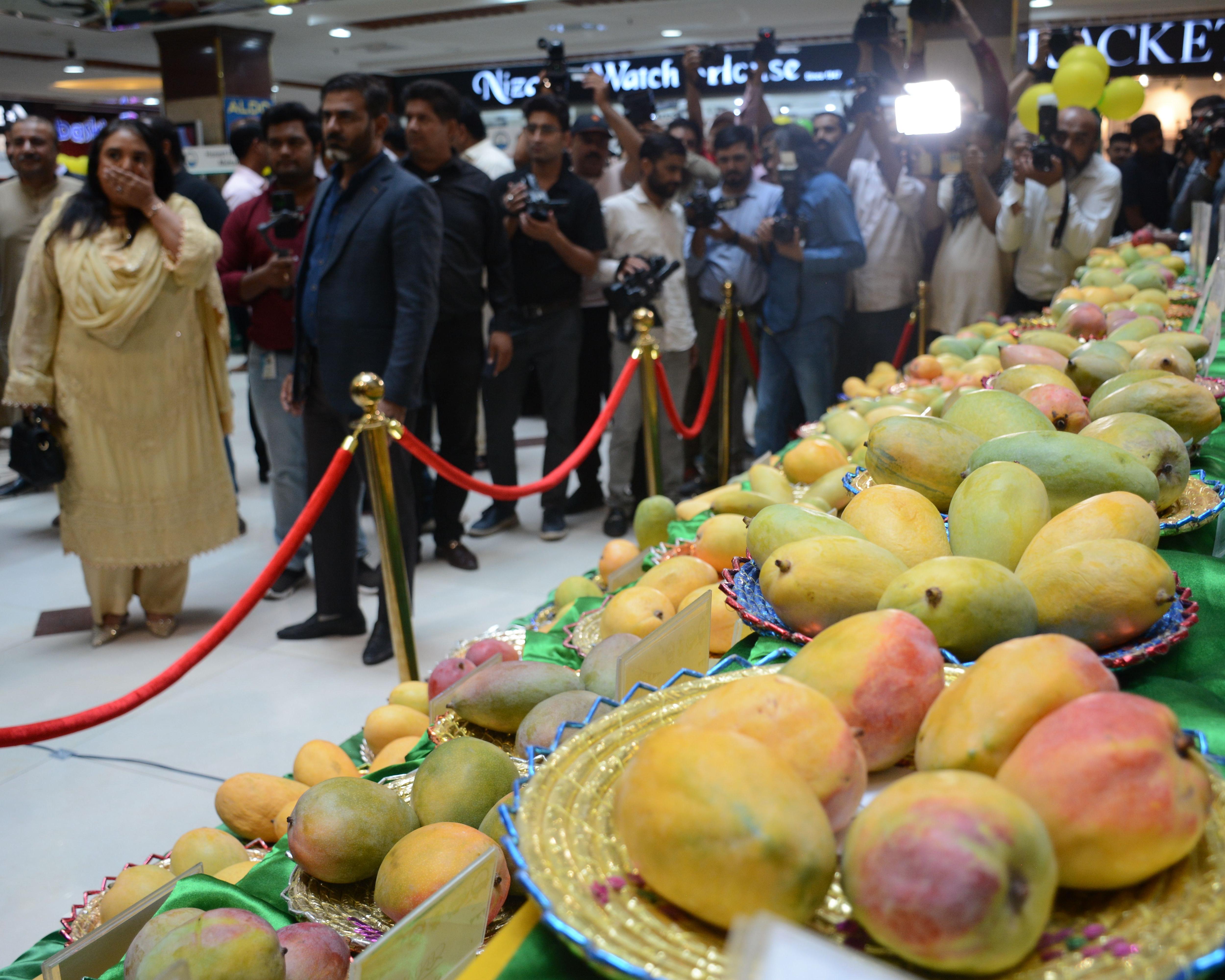 Sweet, fragrant, impossible to resist – south Asian mangoes in Australia’s winter summon memories and unite historic enemies | Shadi Khan Saif