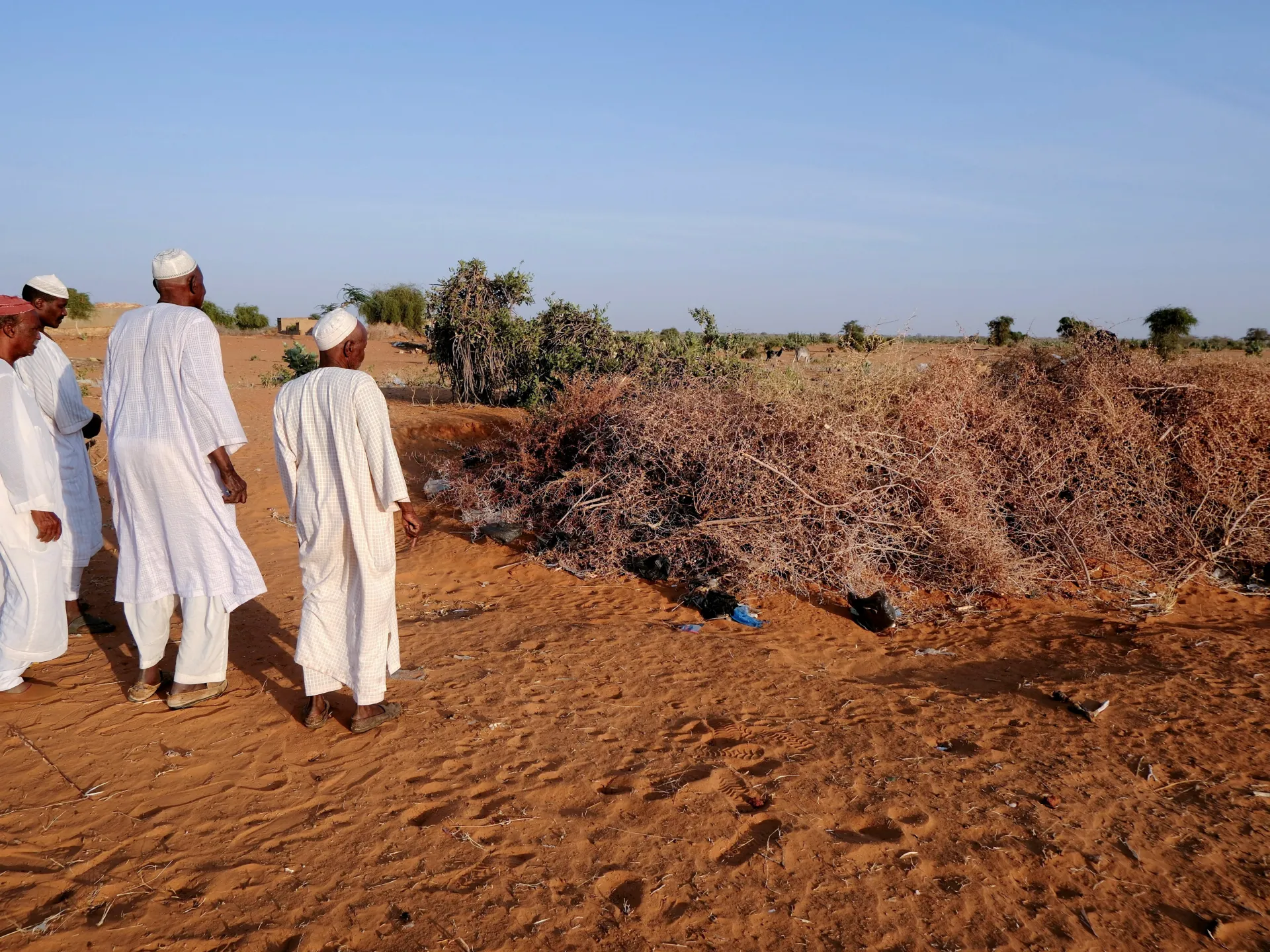 Mass grave with 25 bodies found in Sudan’s Kurmuk after army retakes town