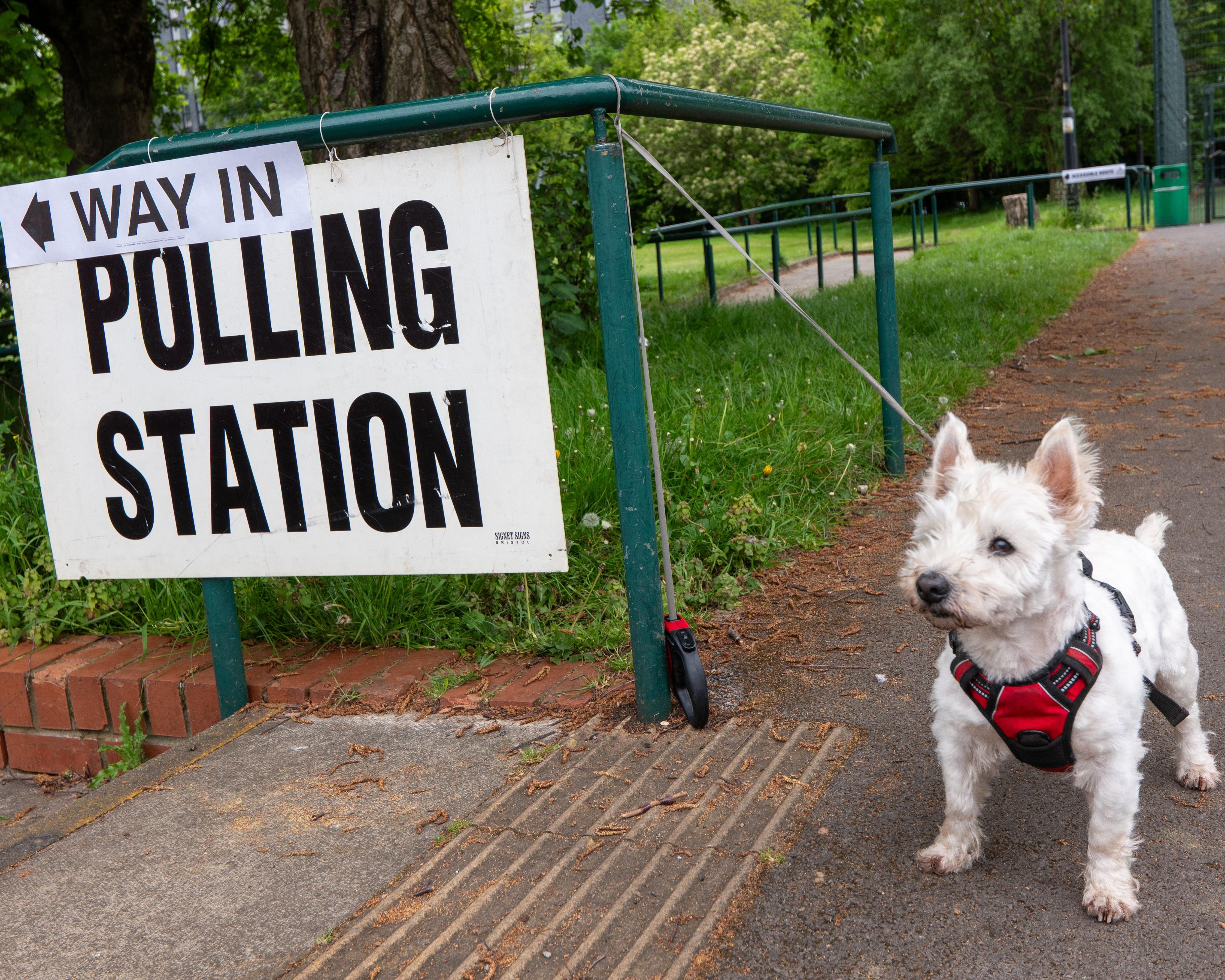 Polls close in elections across England, Scotland and Wales
