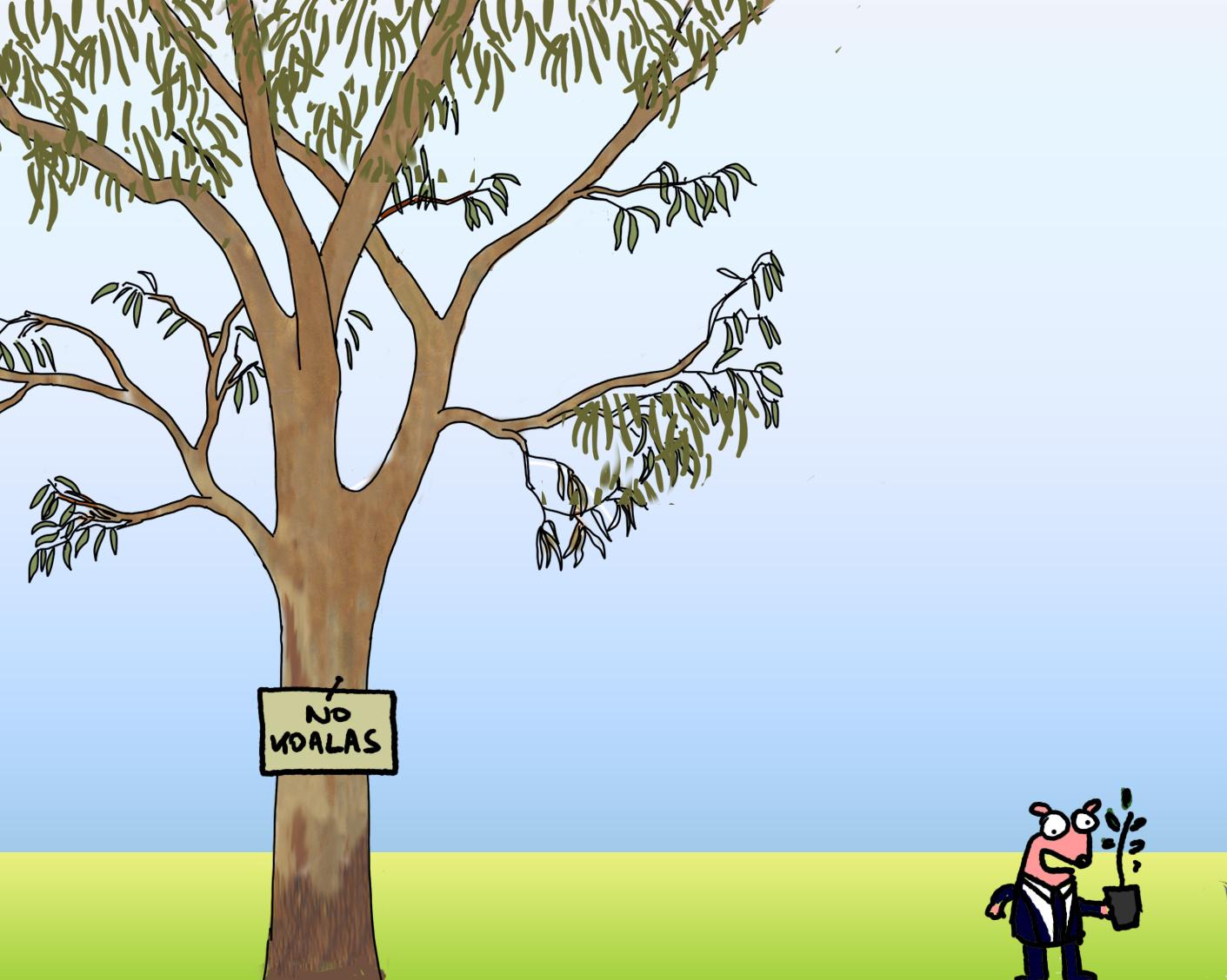 Welcome to Australia, where you can have a wealthy private school or koala habitat but not both | First Dog on the Moon