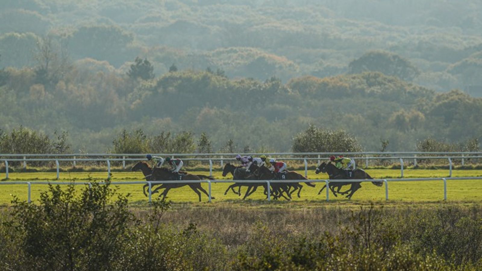 Sixtygeesbaby and Safari Dream lock horns at Ffos Las