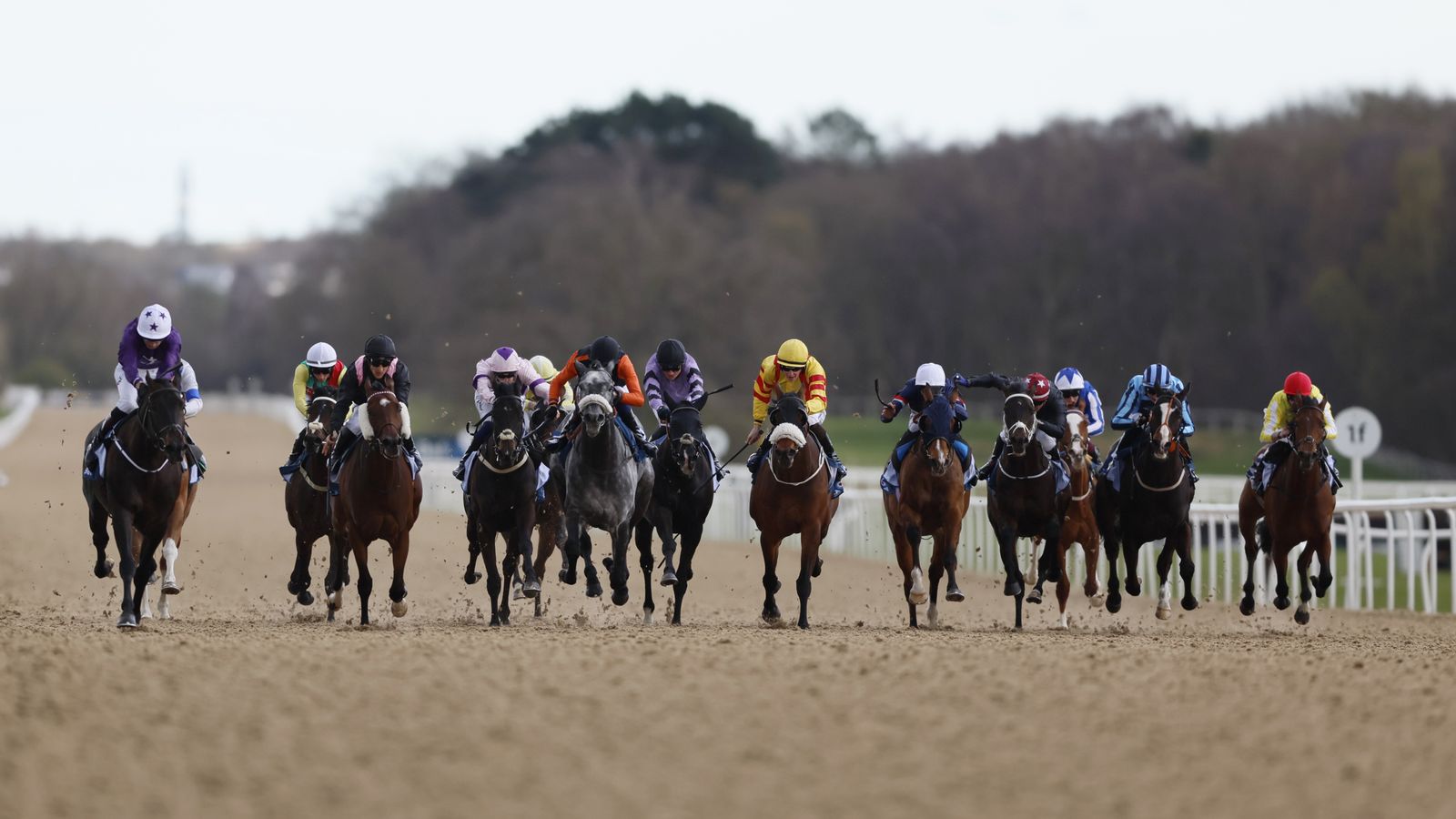 Spirited Gesture and Angel In My Heart clash at Newcastle