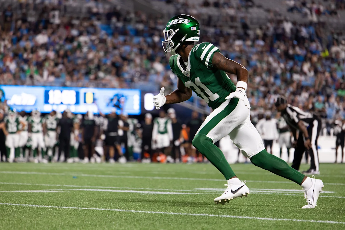 Steelers sign former Jets WR, teammate of Aaron Rodgers