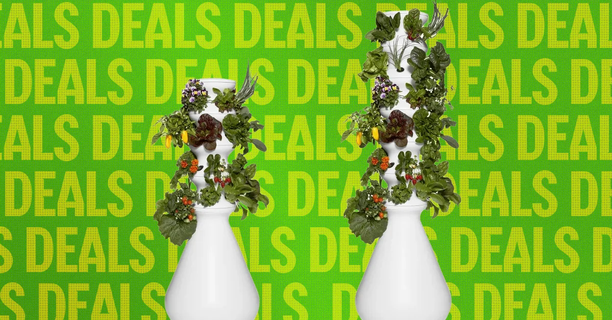 The Best Way to Avoid Diarrhea Lettuce? This Indoor Garden
