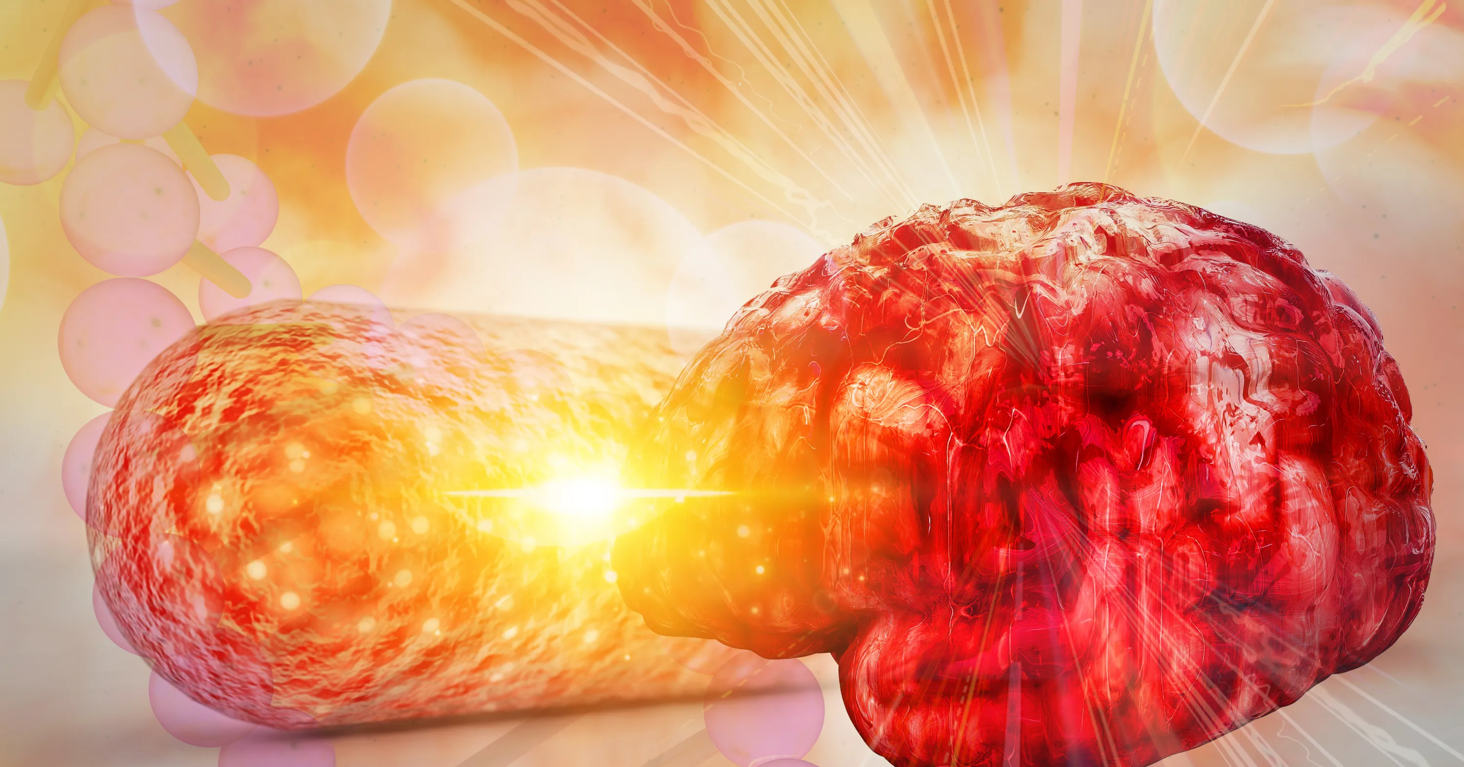 There’s a New Link Between Gut Health and Alzheimer’s Disease