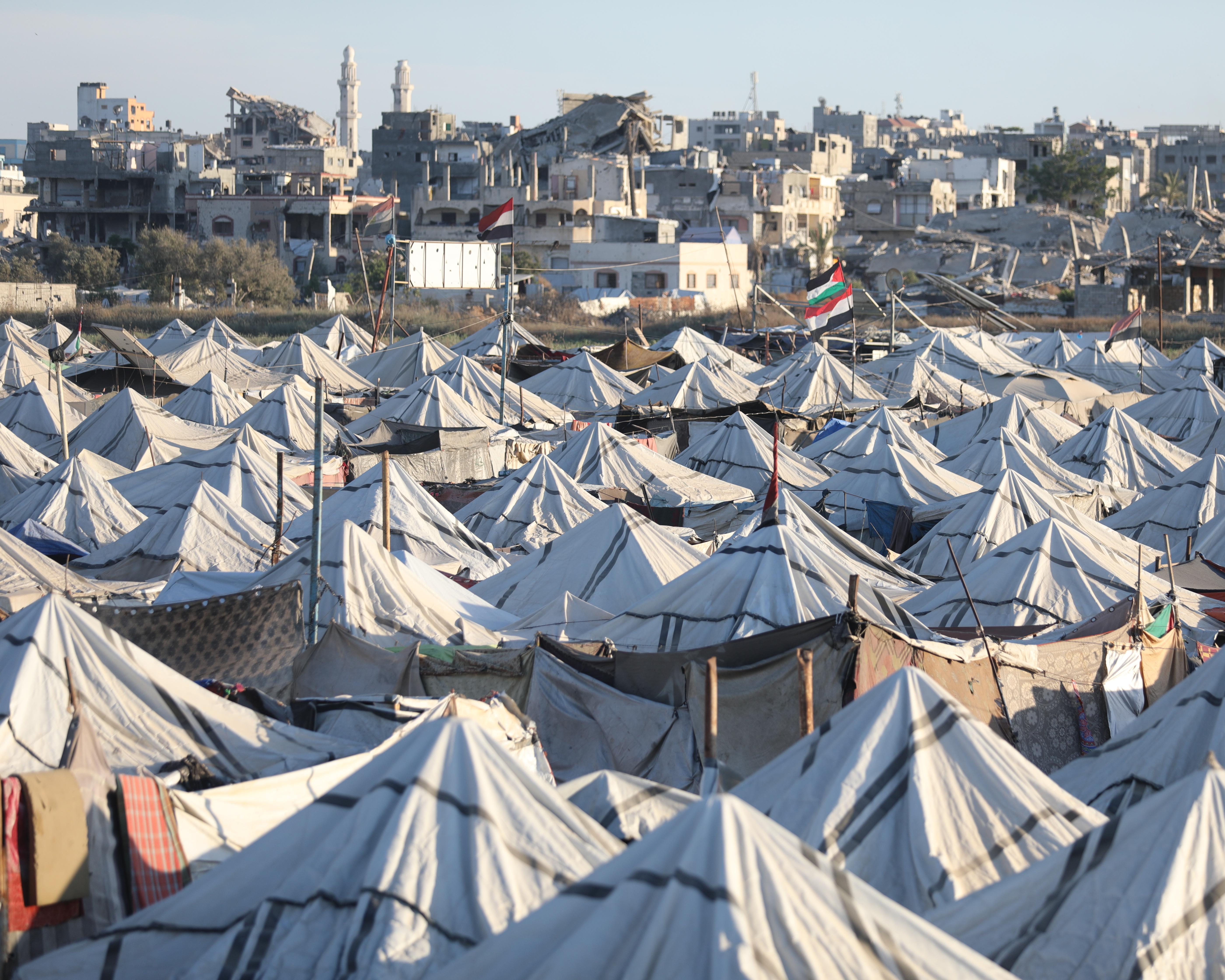 UK government has failed Palestinian people, says senior Labour MP