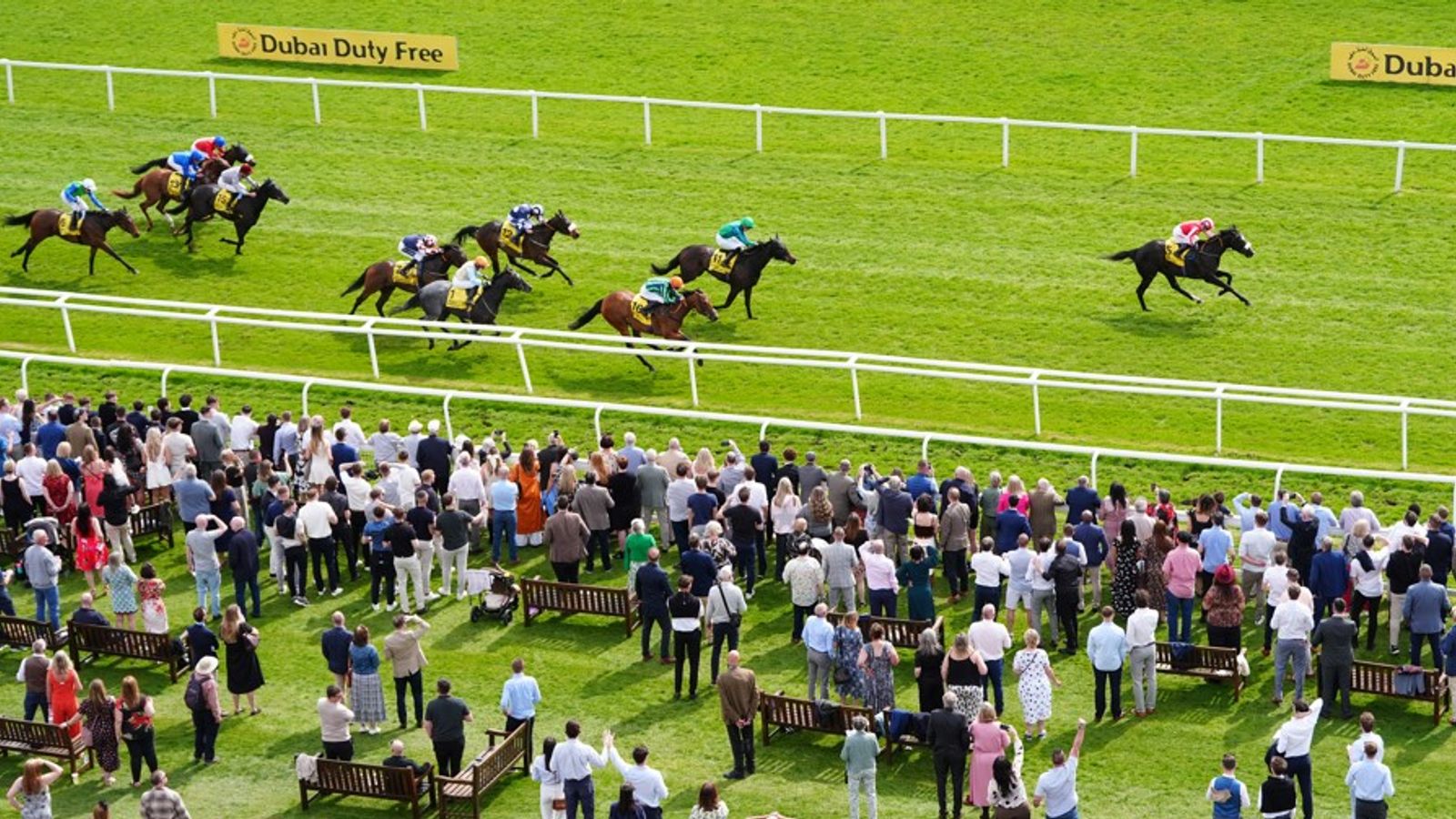 Today on Sky Sports Racing: Efsixteen returns in hot Newbury race