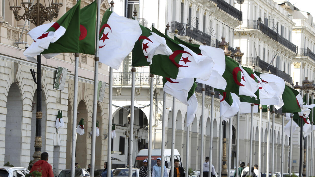Algerian flags wave along a city street lined with ornate white buildings.