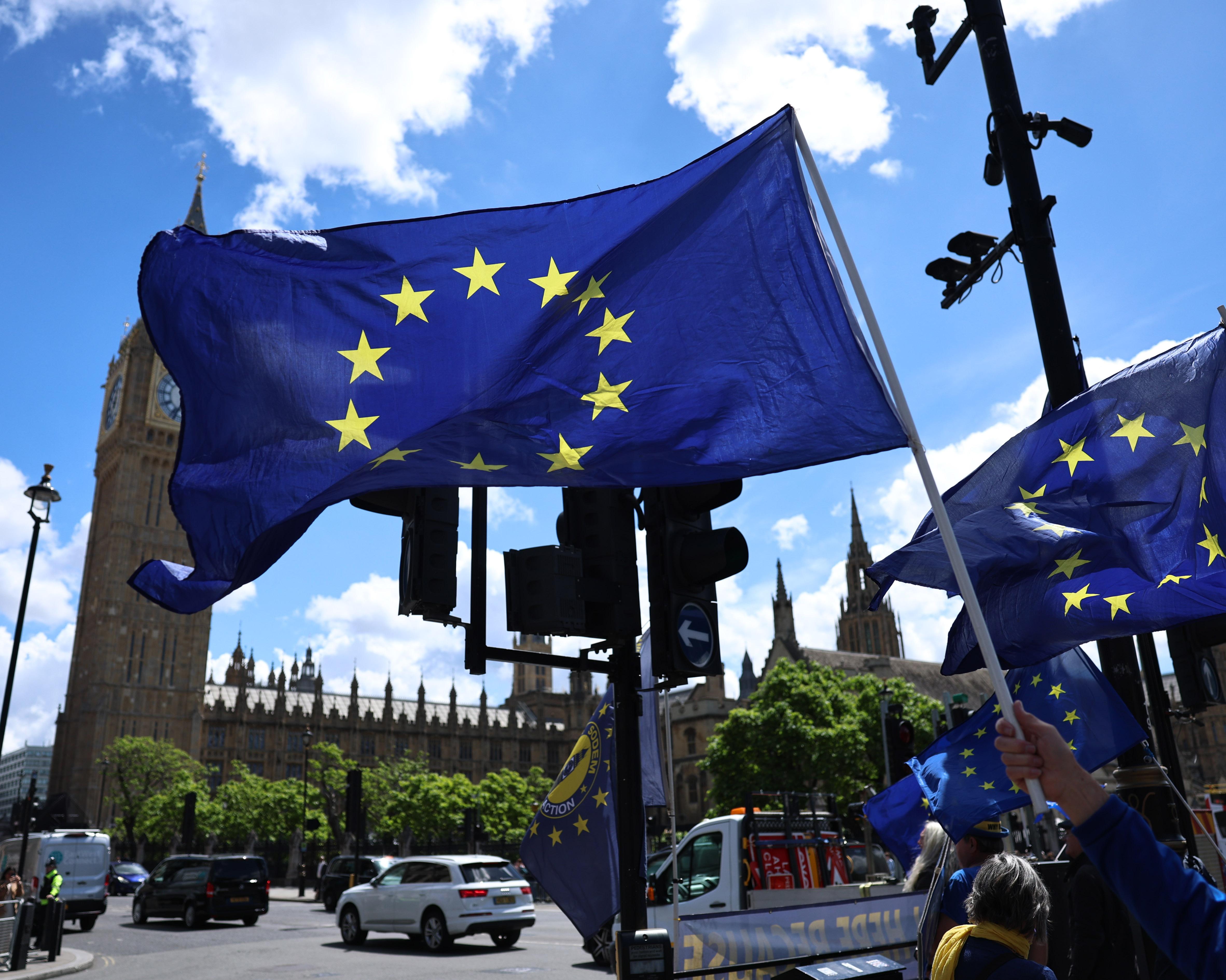 Large blue EU flag waves above a crowd, with the Palace of Westminster and Big Ben behind it.