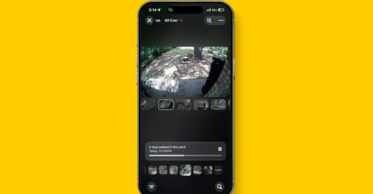 iPhone displaying a home security camera feed of a dog in a yard against yellow background