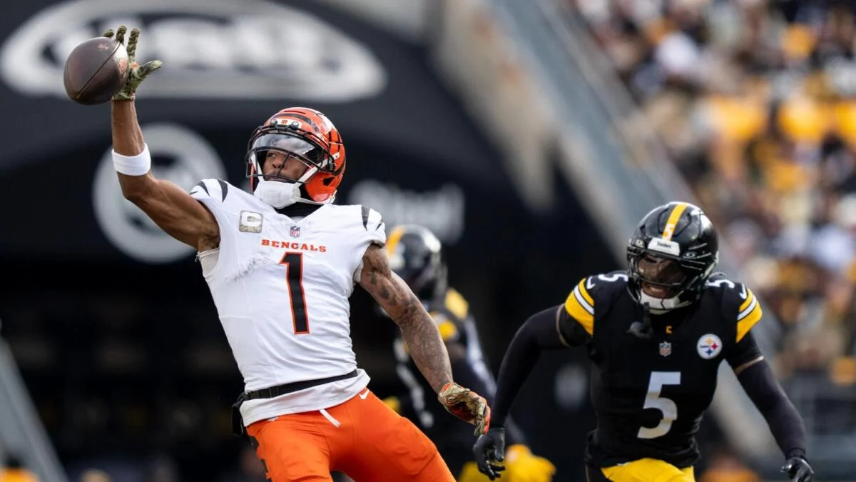 Bengals player in a white jersey raises a football as a Steelers player pursues him.