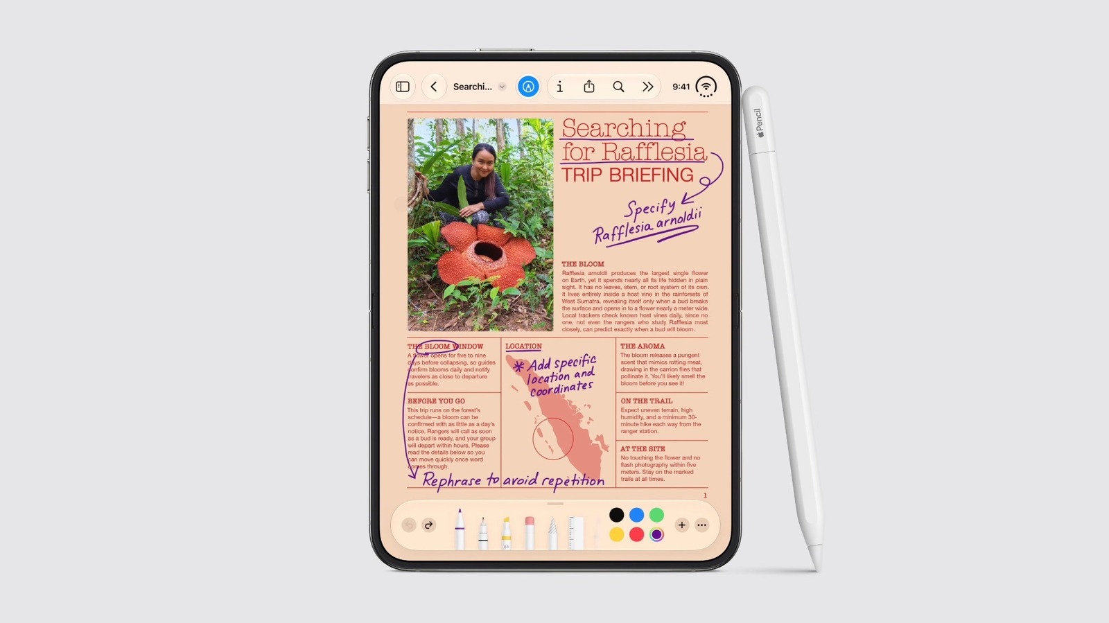 iPad displaying illustrated Rafflesia trip briefing beside an Apple Pencil