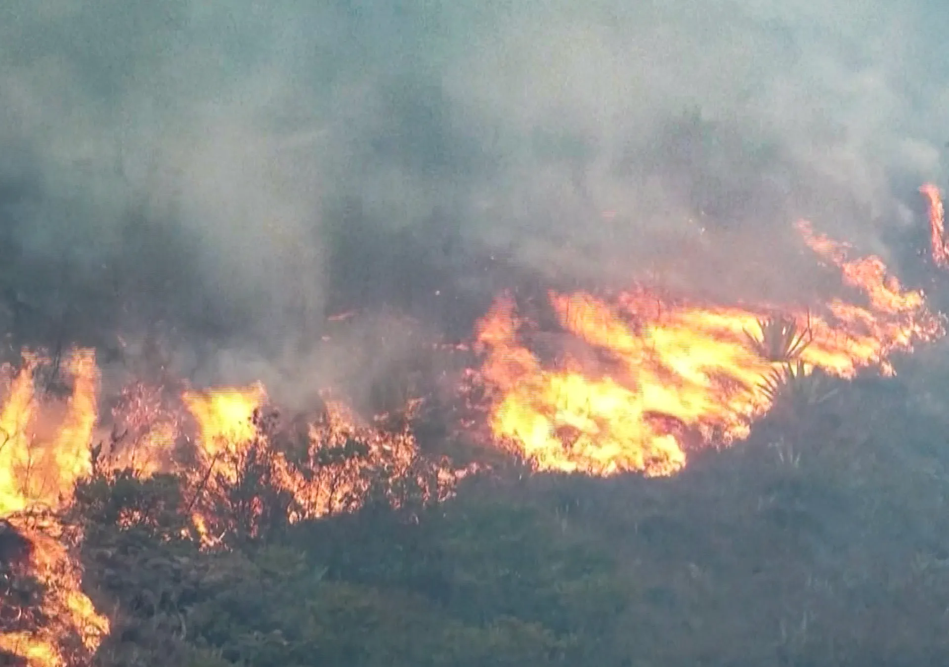 Wildfire flames spread across vegetation beneath a thick cloud of gray smoke.