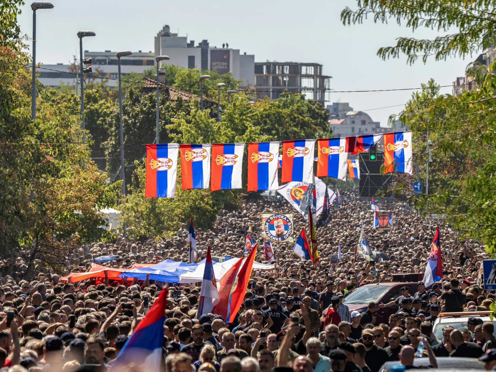 Large crowd carrying Serbian flags and banners along a tree-lined city street.