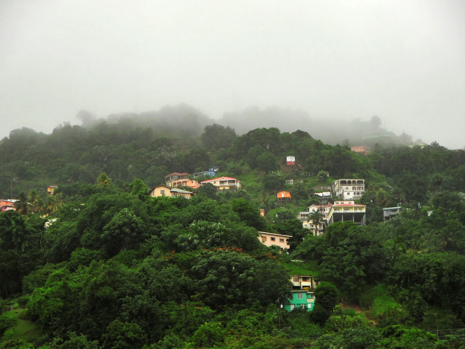 Fog hangs over a lush hillside dotted with scattered homes and buildings.