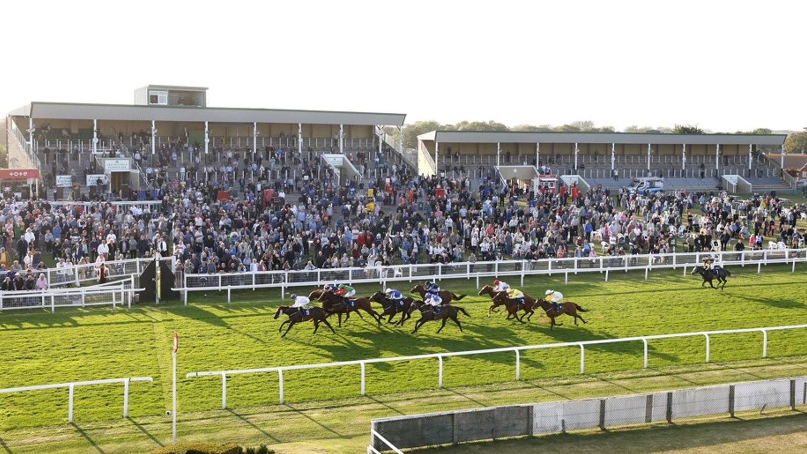 Racehorses gallop past a crowded grandstand during a turf horse race.
