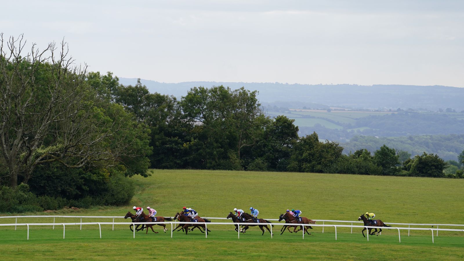 Several jockeys race horses along a white-railed course, with green fields, trees and distant hills behind them.