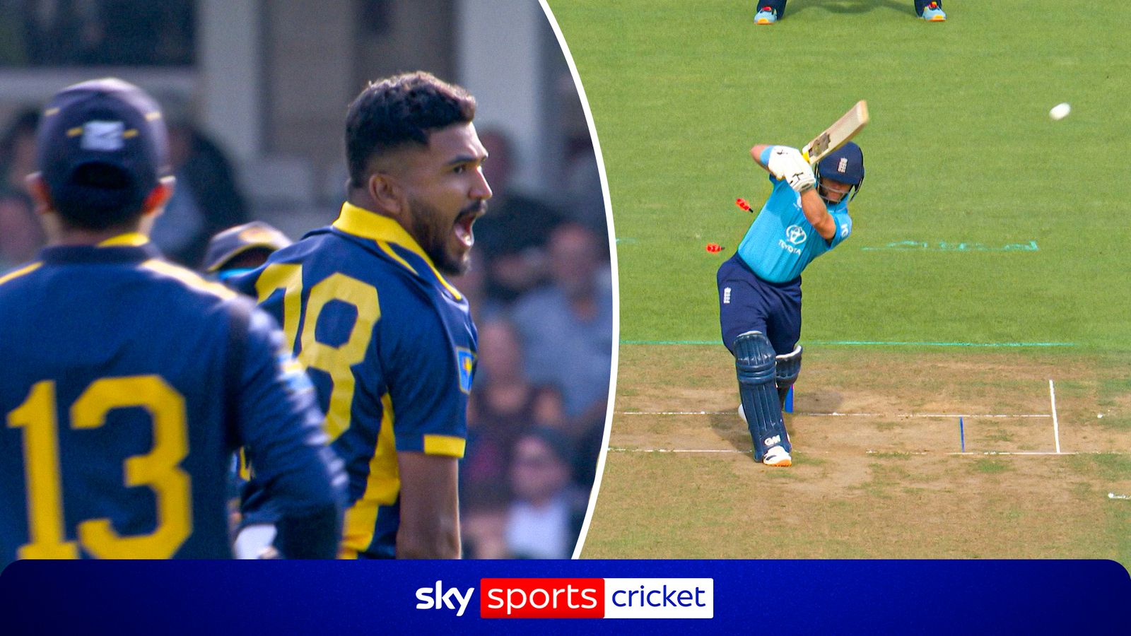 Sri Lankan players celebrate as an England batter is bowled, with a Sky Sports Cricket logo below.